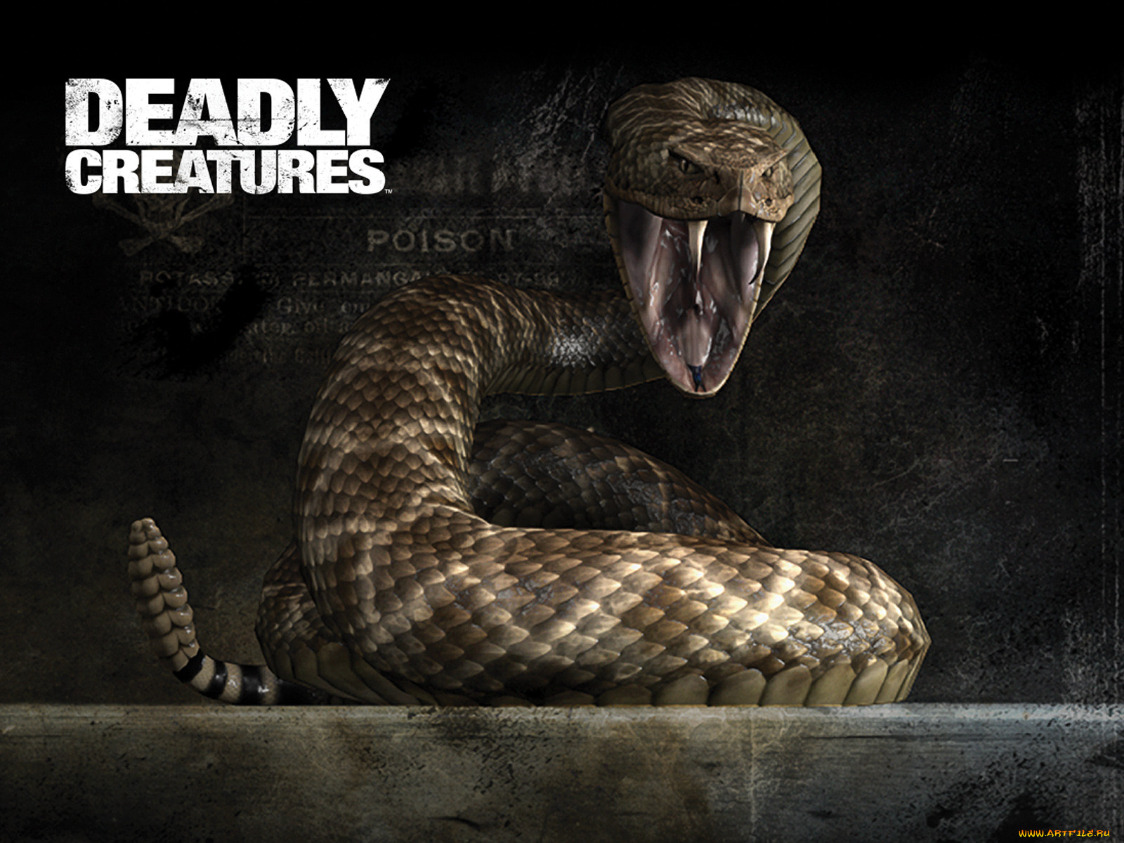 deadly, creatures, , 